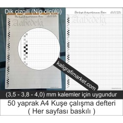 kaligrafi çalışma defteri (dik çizgili nip ölçülü)