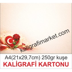 11 no a4 kaligrafi kartonu (50 adetlik pakat)